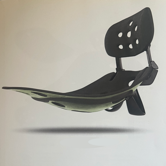 BackJoy Posture360 Max Seat | with Lower Lumber Guide